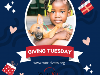 Giving Tuesday kid and puppy