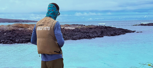 WV Wildlife Jun-Dec 2025 - 2 (6)