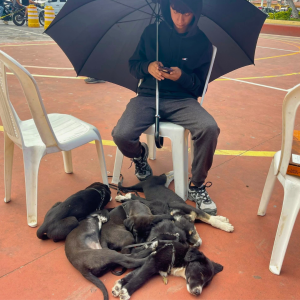 Guatemala Nov 2025 (10)