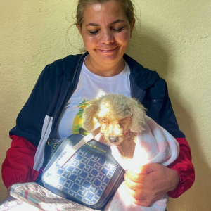 Guatemala Nov 2025 (11)