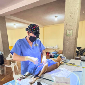 Guatemala Nov 2025 (13)