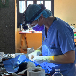 Guatemala Nov 2025 (15)