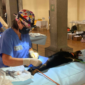 Guatemala Nov 2025 (19)