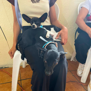 Guatemala Nov 2025 (22)