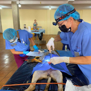 Guatemala Nov 2025 (25)