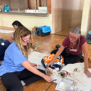 Guatemala Nov 2025 (27)