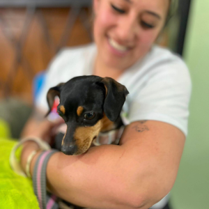 Otavalo Nov 2025 (69)