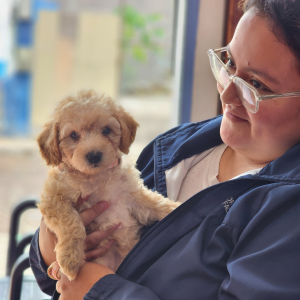 Galapagos Dec 2025 (1)