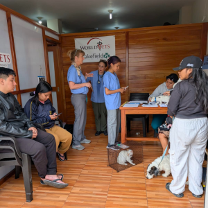 Galapagos Dec 2025 (10)