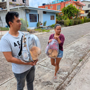 Galapagos Dec 2025 (11)
