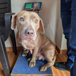 Galapagos Dec 2025 (12)