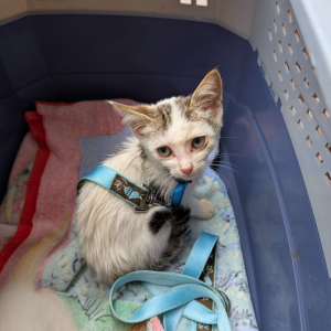 Galapagos Dec 2025 (14)