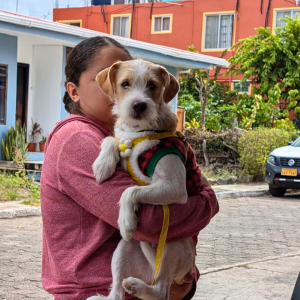 Galapagos Dec 2025 (16)