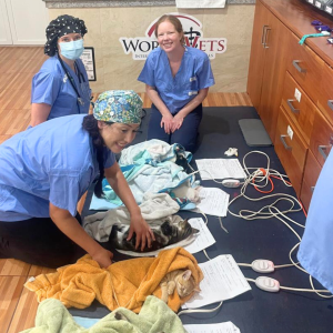 Galapagos Dec 2025 (17)