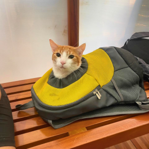 Galapagos Dec 2025 (20)