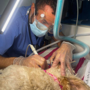 Galapagos Dec 2025 (21)