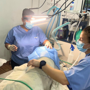 Galapagos Dec 2025 (22)