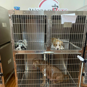 Galapagos Dec 2025 (26)