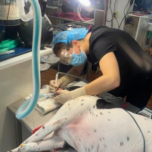 Galapagos Dec 2025 (27)