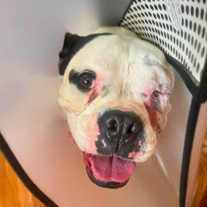 Galapagos Dec 2025 (31)