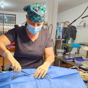 Galapagos Dec 2025 (7)