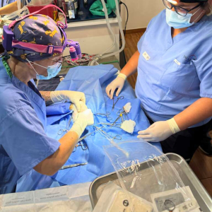 Galapagos Dec 2025 (9)