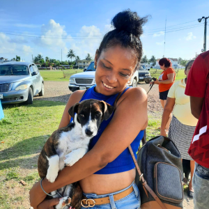 Corozal Belize March 2026 (1)