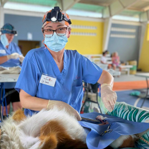 Corozal Belize March 2026 (16)