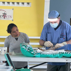 Corozal Belize March 2026 (18)