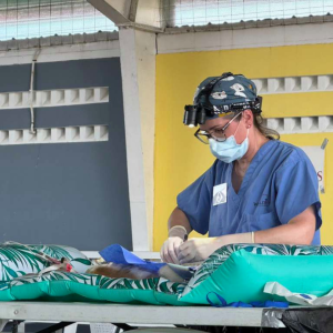 Corozal Belize March 2026 (21)