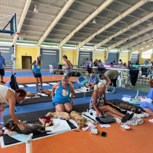 Corozal Belize March 2026 (23)