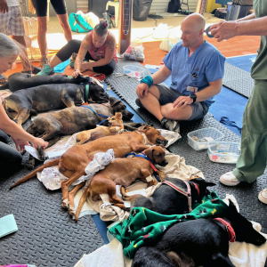 Corozal Belize March 2026 (51)