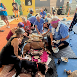 Corozal Belize March 2026 (52)