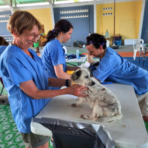 Corozal Belize March 2026 (54)