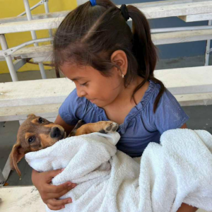 Corozal Belize March 2026 (58)