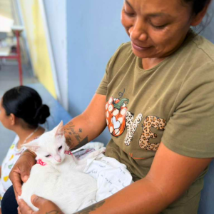 Corozal Belize March 2026 (61)