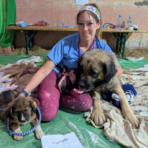 Albania Jun 2026 (34)