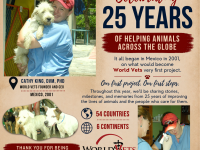 Celebrating 25 years (1)