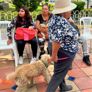 Otavalo June 2026 (4)