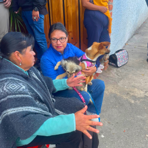 Otavalo June 2026 (7)