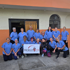 Ecuador August 2026 (45)